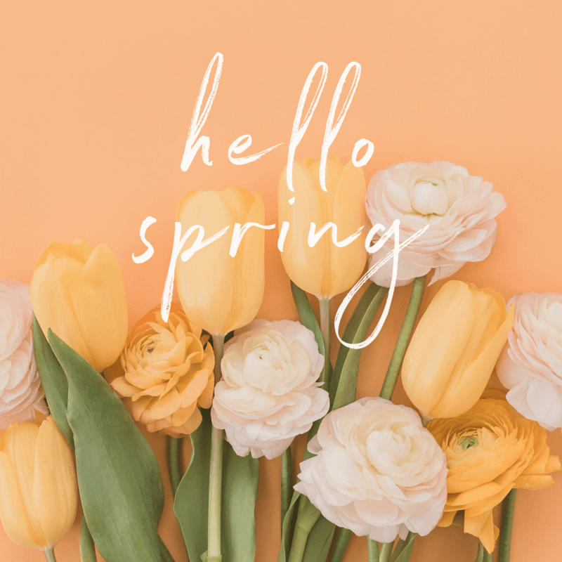 Hello Spring